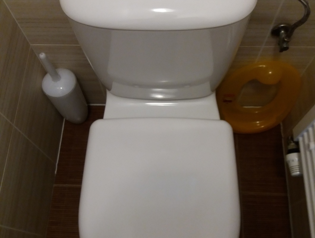 výměna splachovadla