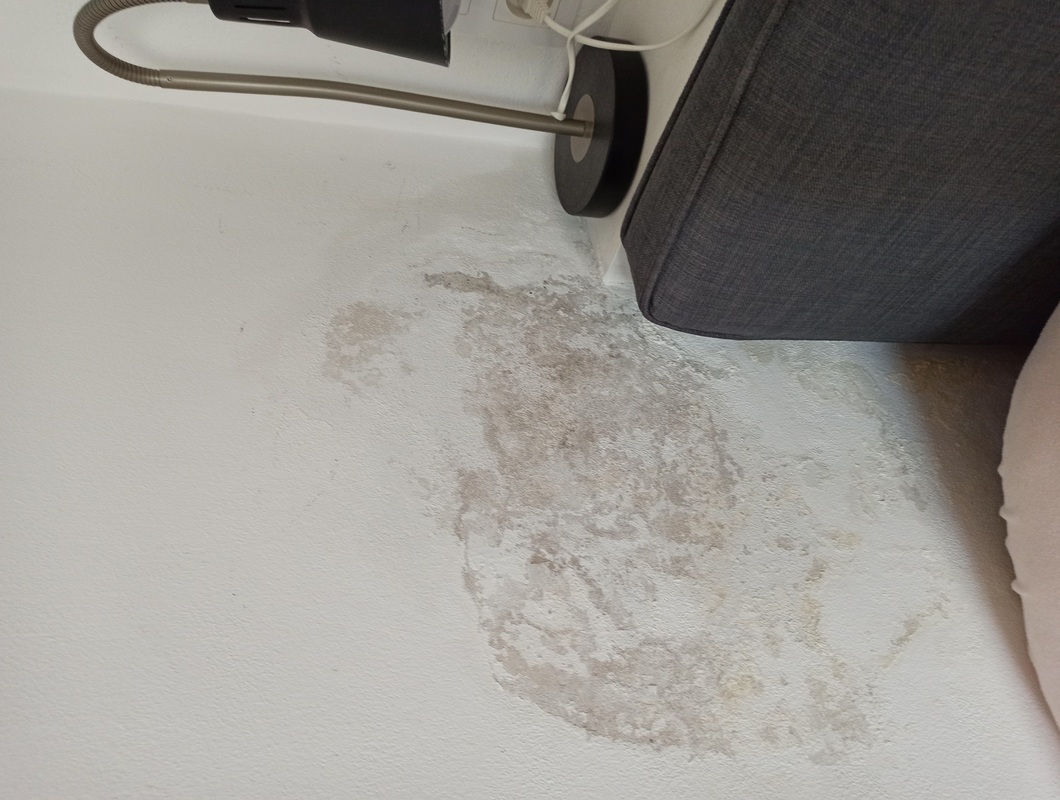 Potřebuji zjistit odkud se vzal mokrý flek na zdi v ložnici a příčinu odstranit