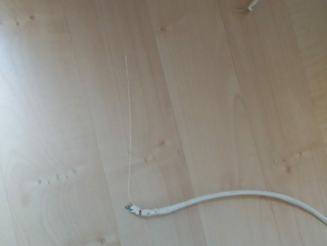Pes překousl kabel od televizní anteny. Je potřeba na to mrknout a vyměnit kabel.