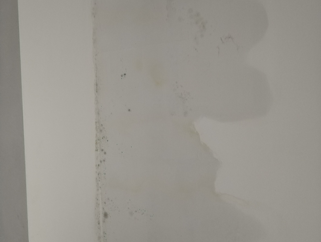při dešti zatéká fasádou, prosáklá celá vnitřní zeď
