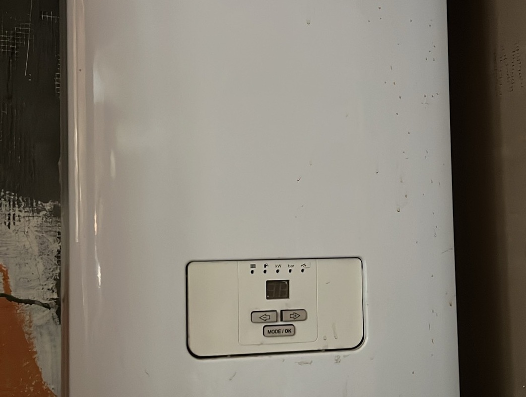 Oprava elektrokotle Protherm Ray 9 K